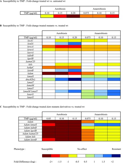 graphic file with name pnas.1706236114st01.jpg