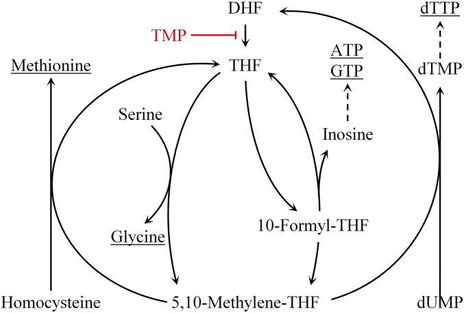 Fig. S1.