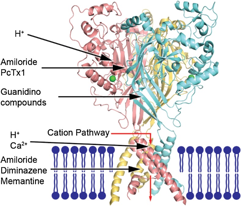 Fig. 1