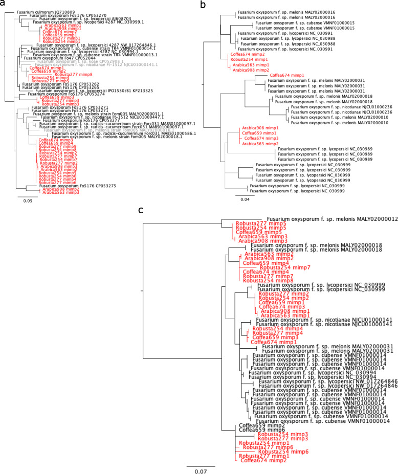 Fig. 9