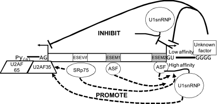 FIG. 8.