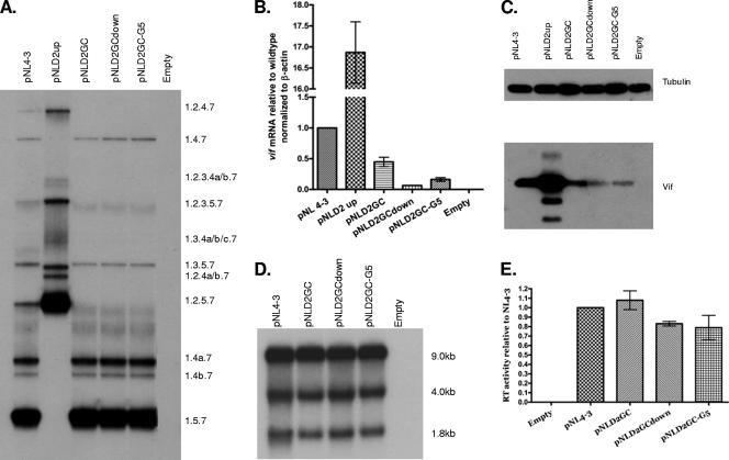 FIG. 3.