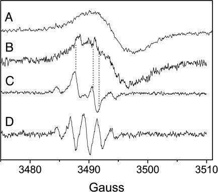 Fig. 5.