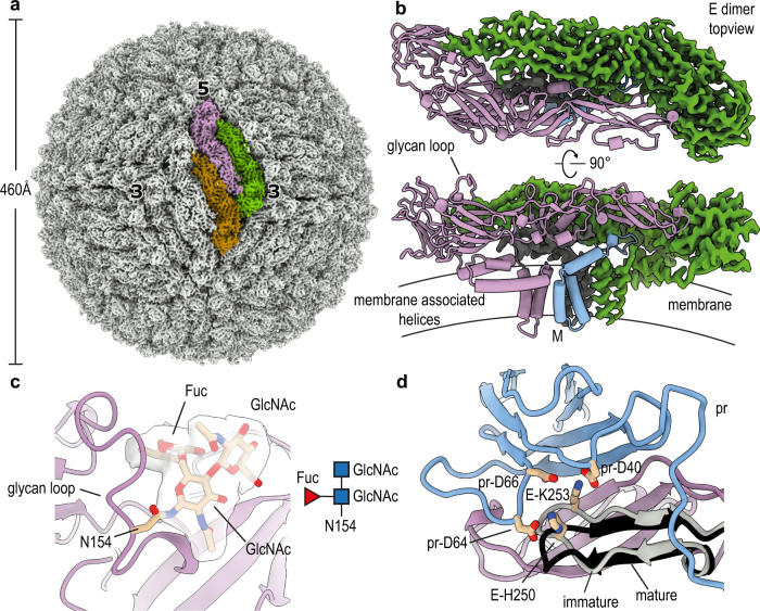 Fig. 3