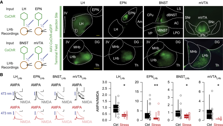 Figure 3