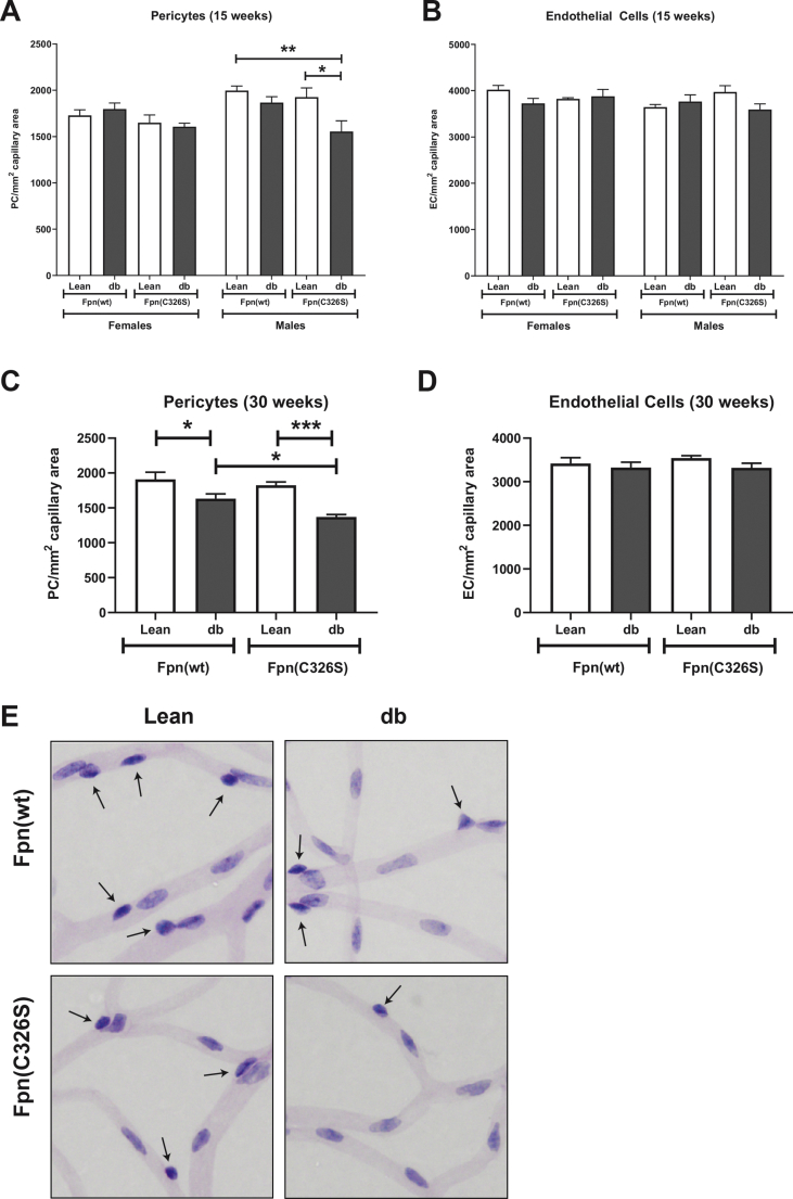 Figure 6