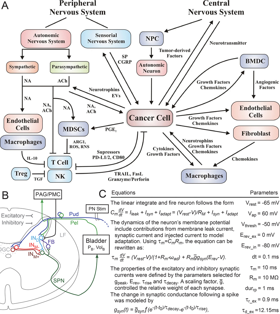 Figure 2: