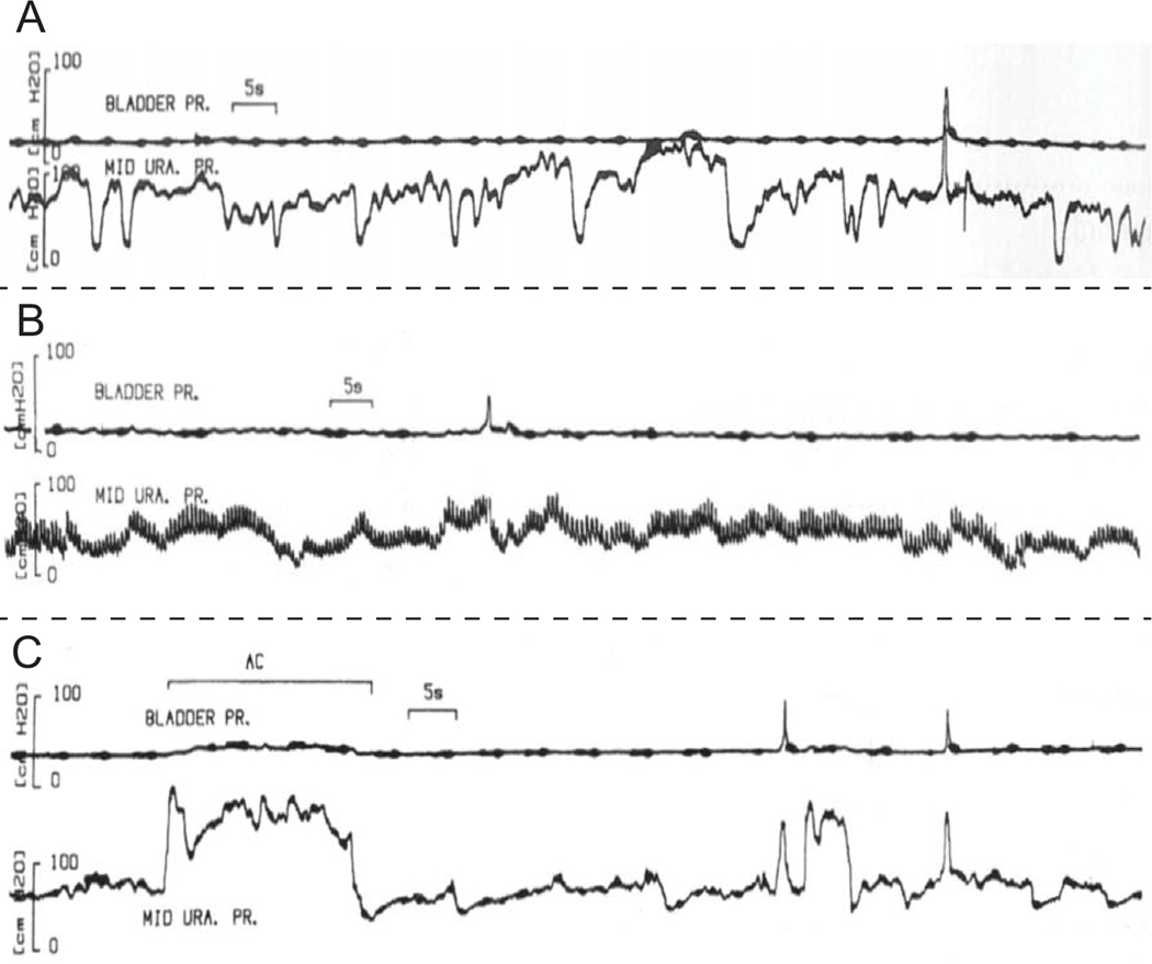 Figure 4: