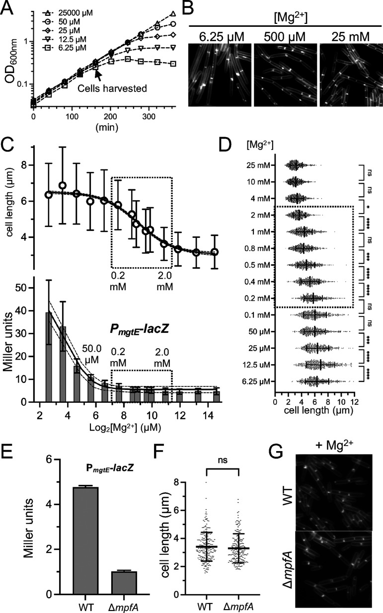 FIG 5