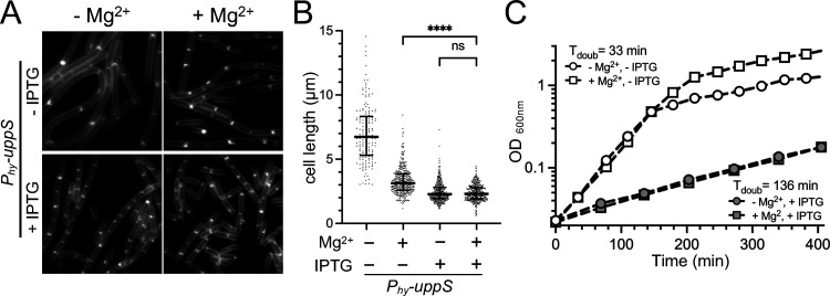 FIG 8