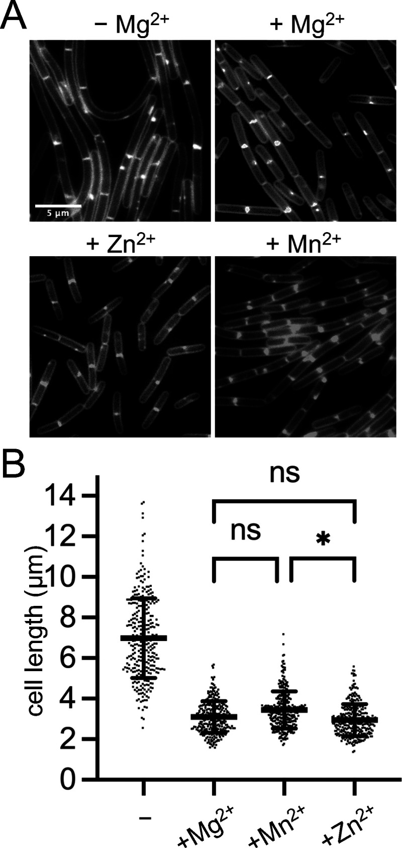 FIG 3