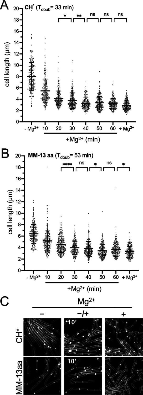 FIG 6