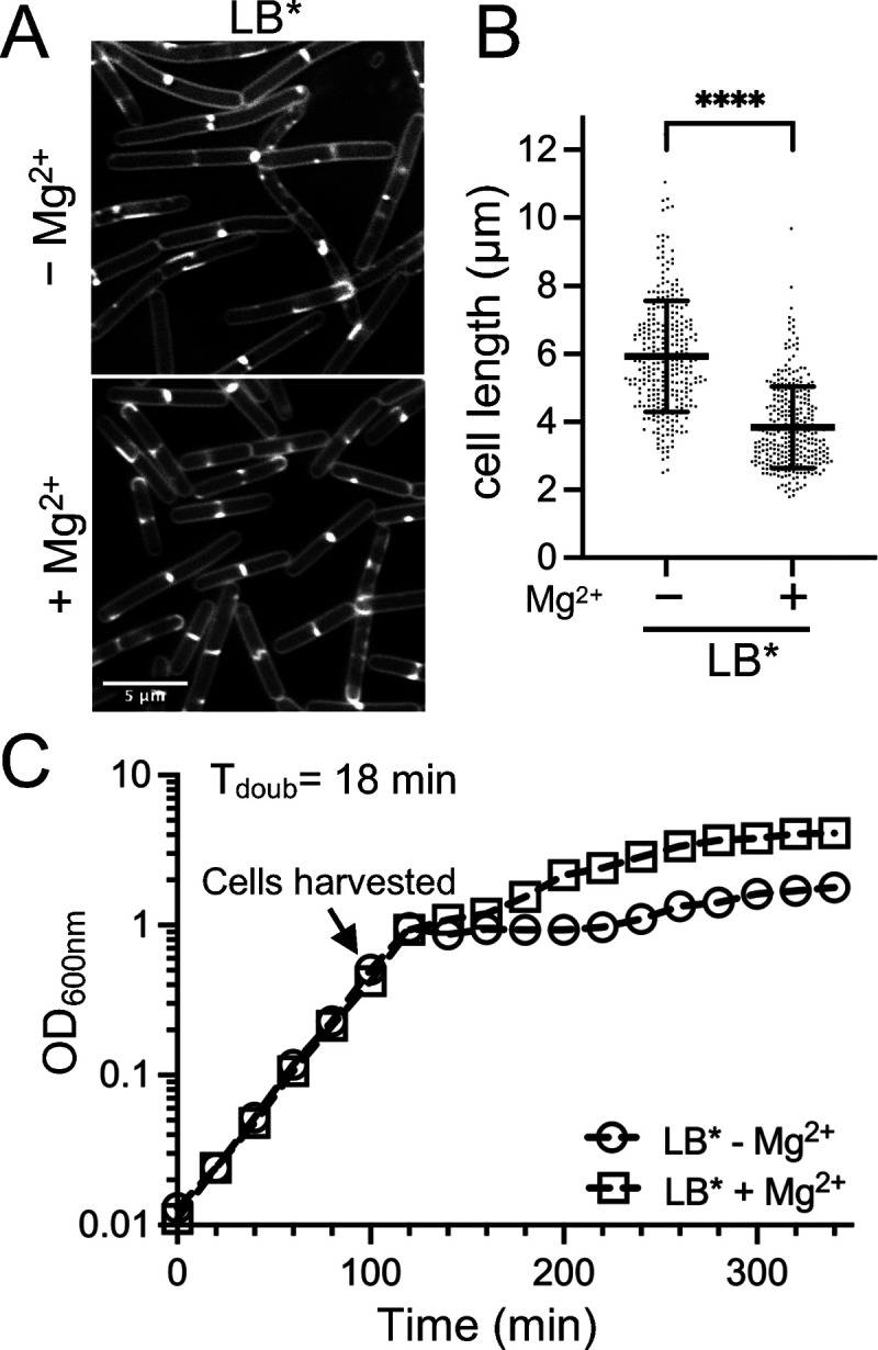 FIG 1