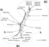 FIG. 2.