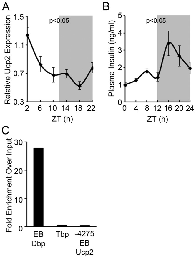 Fig 5