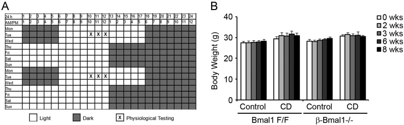 Fig 8