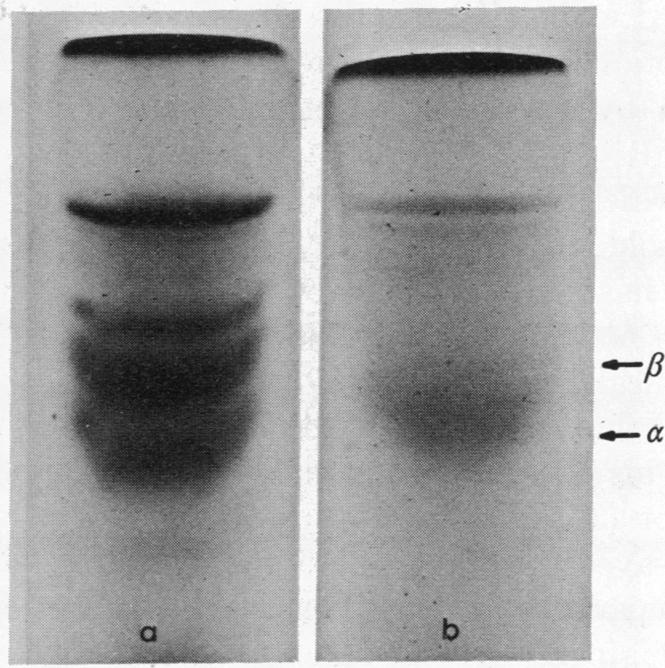 graphic file with name pnas00045-0163-a.jpg