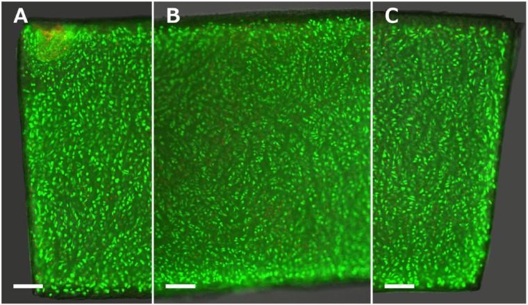 Figure 3.