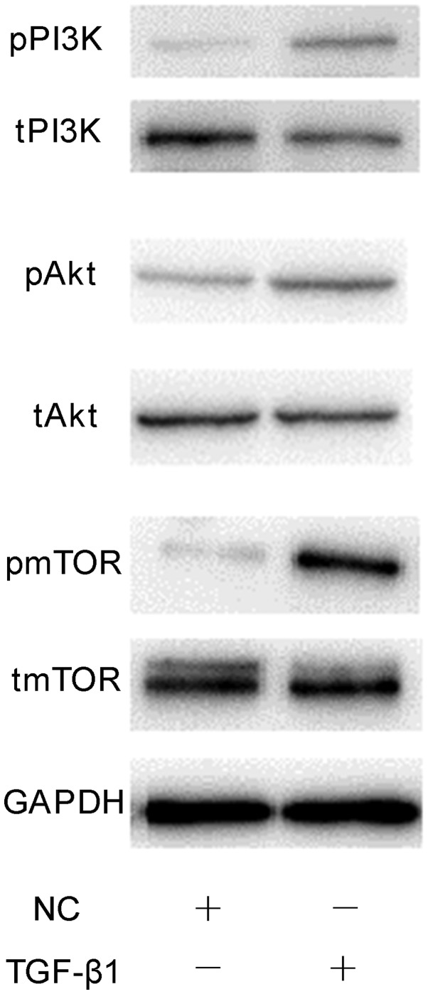 Figure 10.