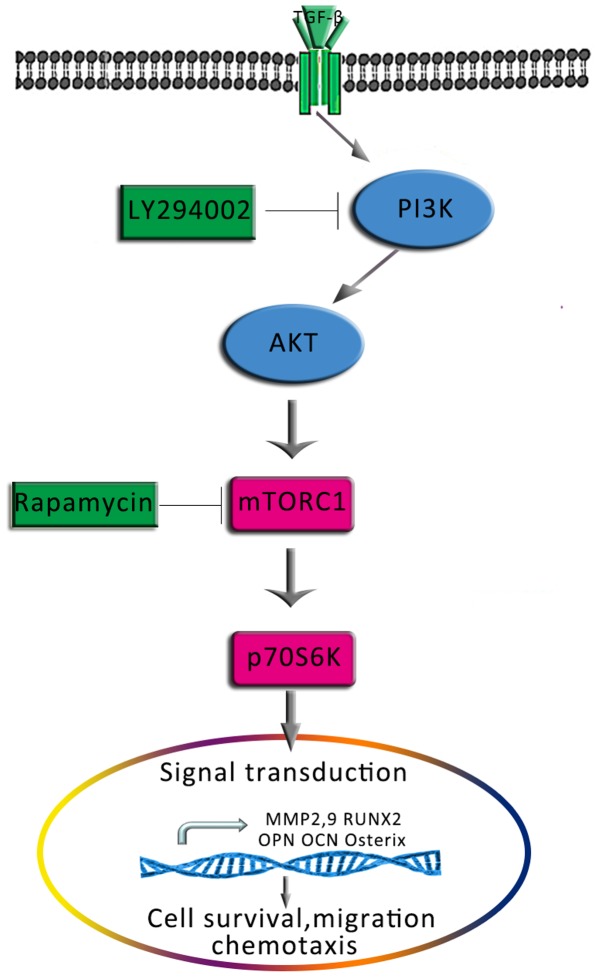 Figure 11.