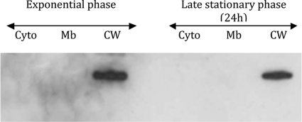 FIG. 8.