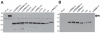 FIG 2