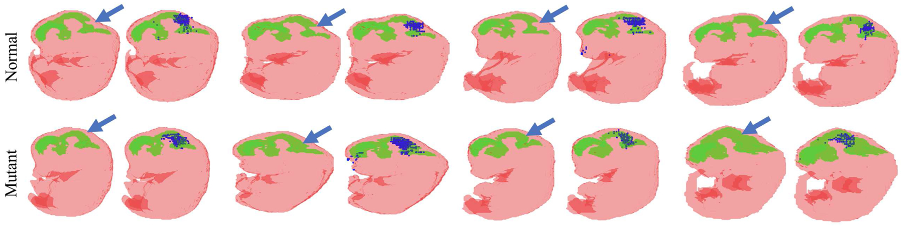 Fig. 9.