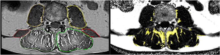 Fig. 7