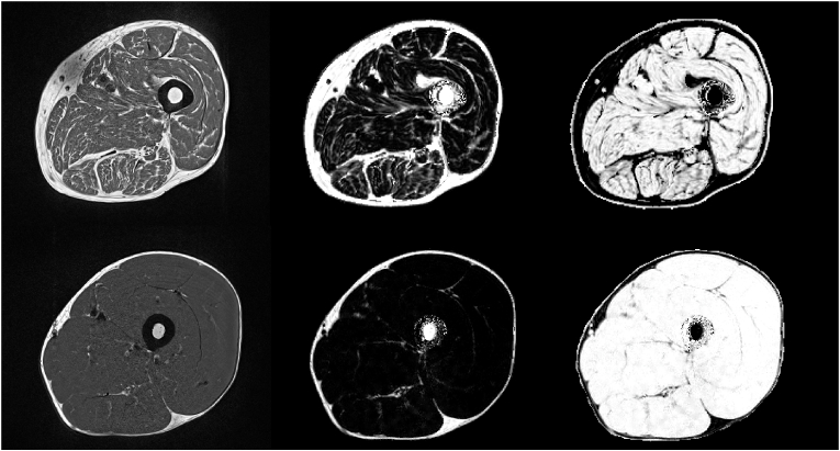 Fig. 2