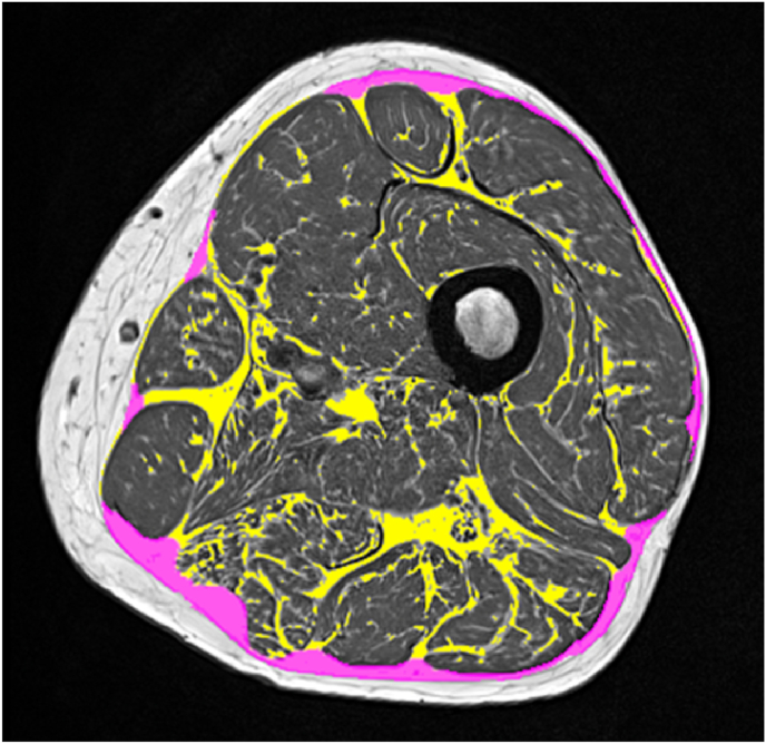 Fig. 5