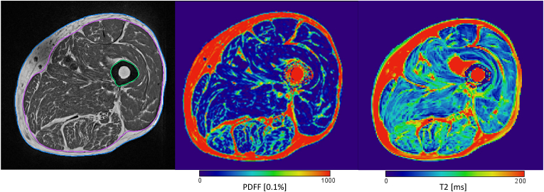 Fig. 3