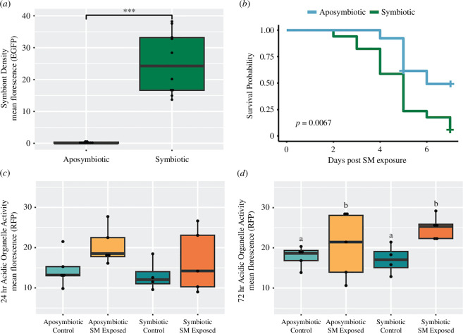 Difference in symbiont density measured as mean.