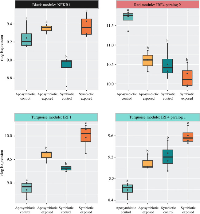 WGCNA module membership and box plots with the rlog expression.