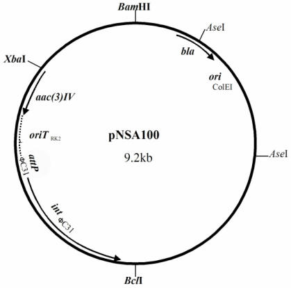 FIG. 5.