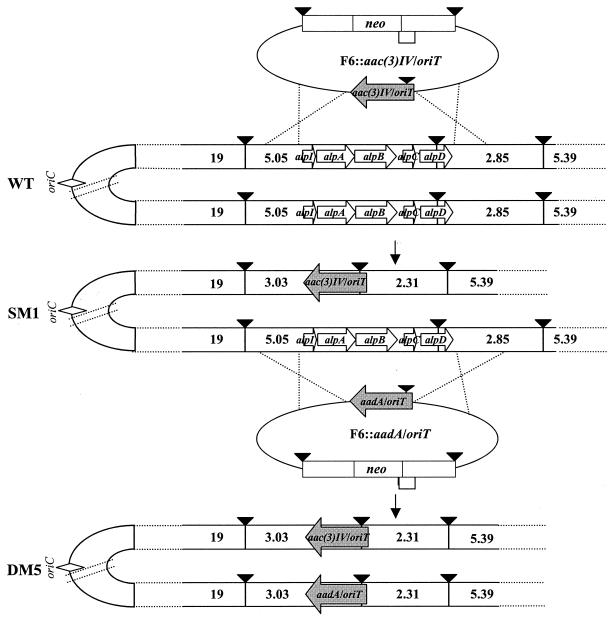 FIG. 3.