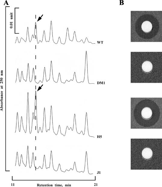 FIG. 6.