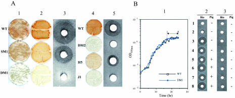 FIG. 4.