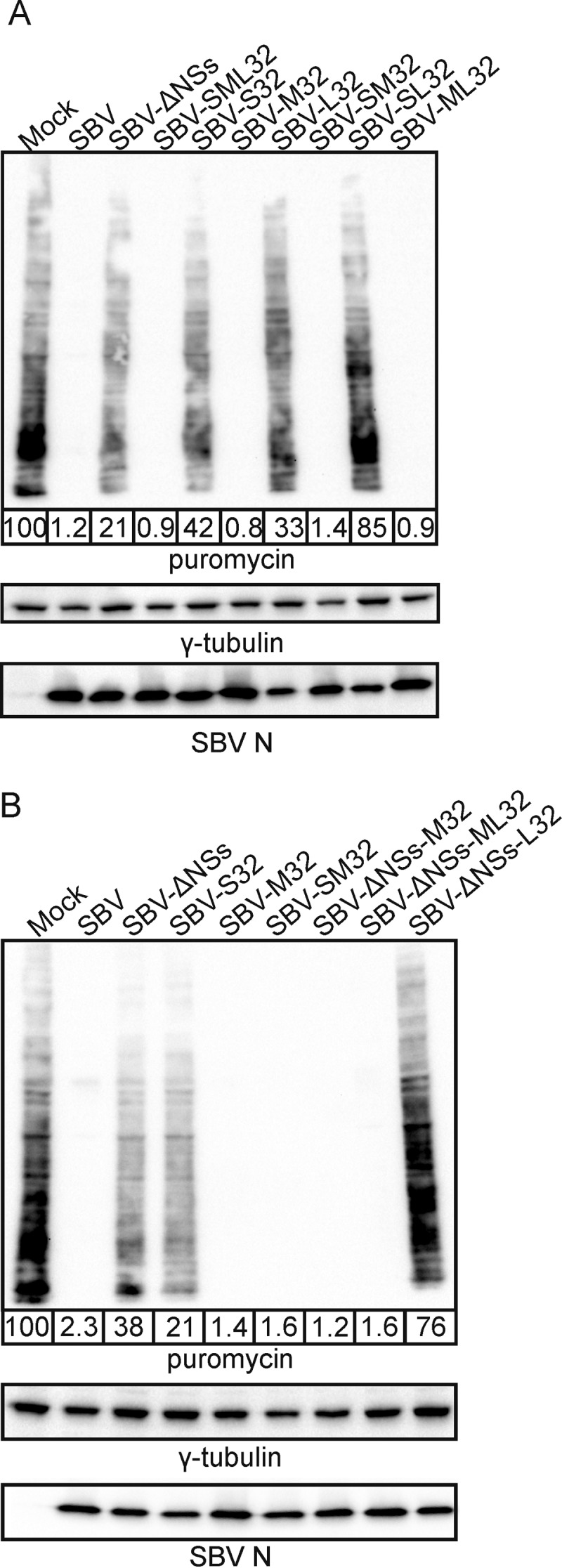 FIG 5