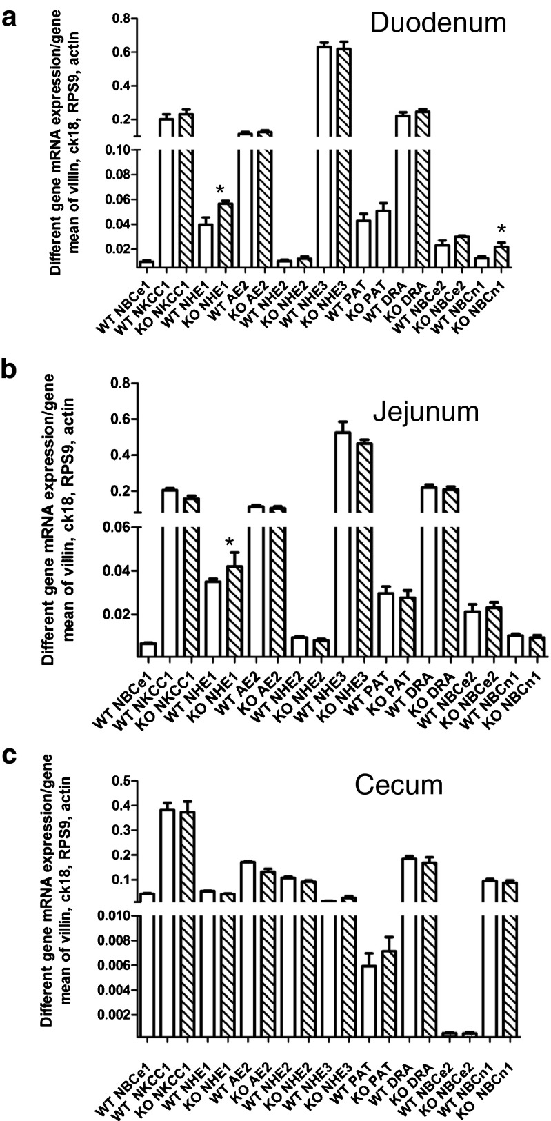 Fig. 8