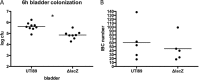 FIG 6