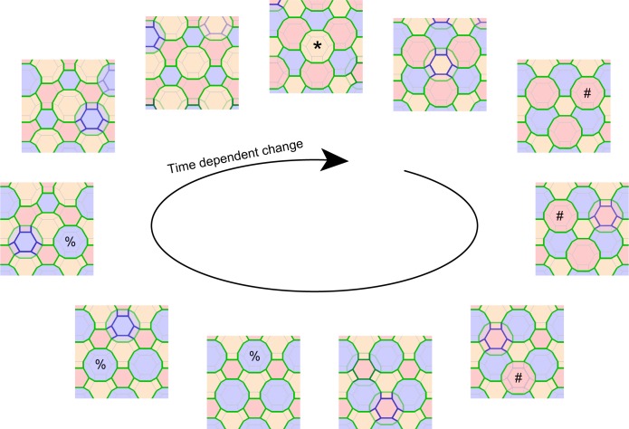 Figure 5—figure supplement 1.