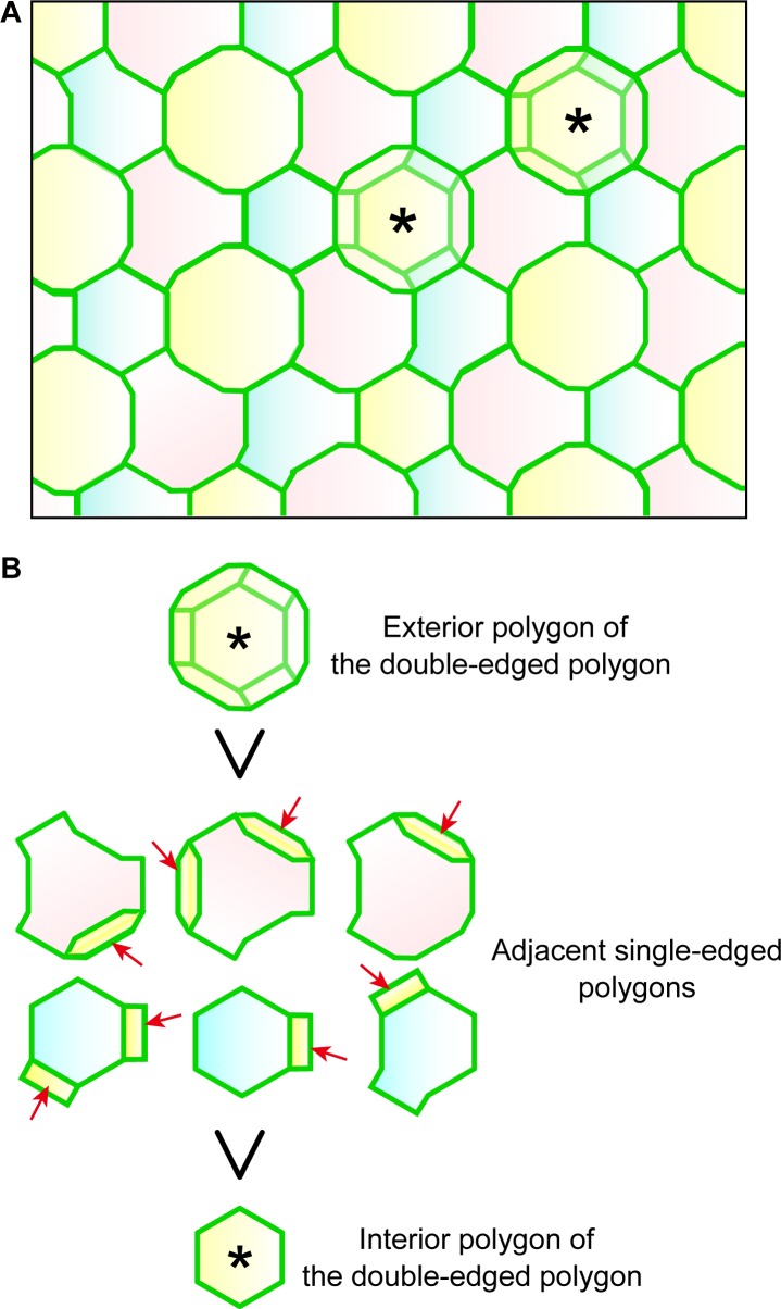 Figure 4—figure supplement 2.