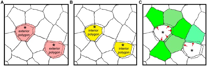 Figure 1—figure supplement 1.