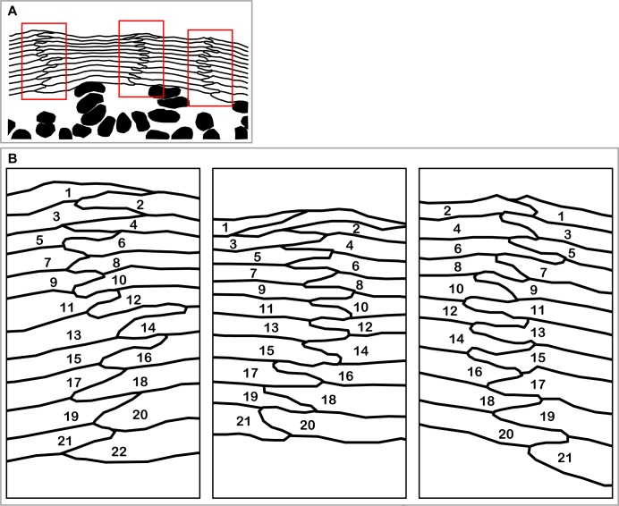 Figure 6—figure supplement 1.