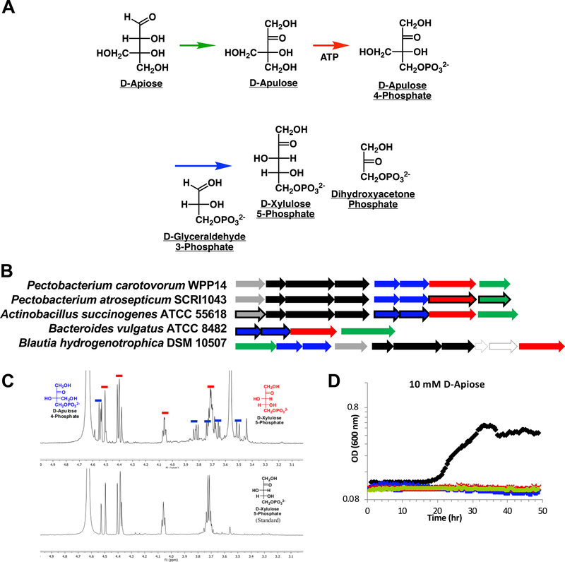 Figure 2.