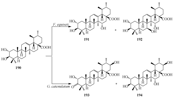 Figure 51