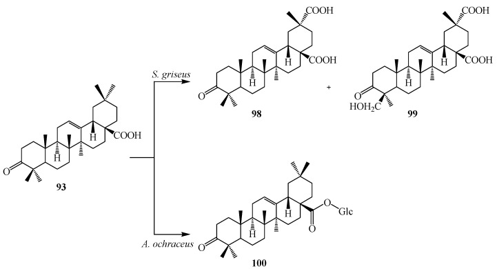 Figure 27