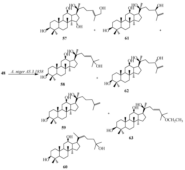 Figure 16