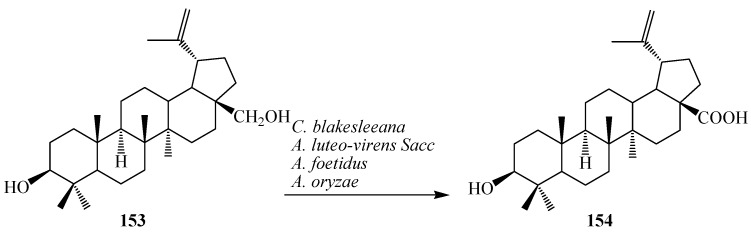 Figure 42