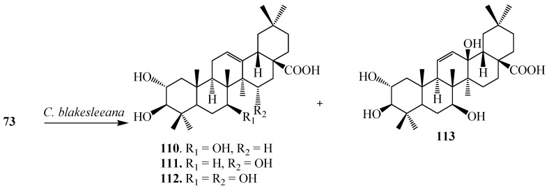 Figure 32